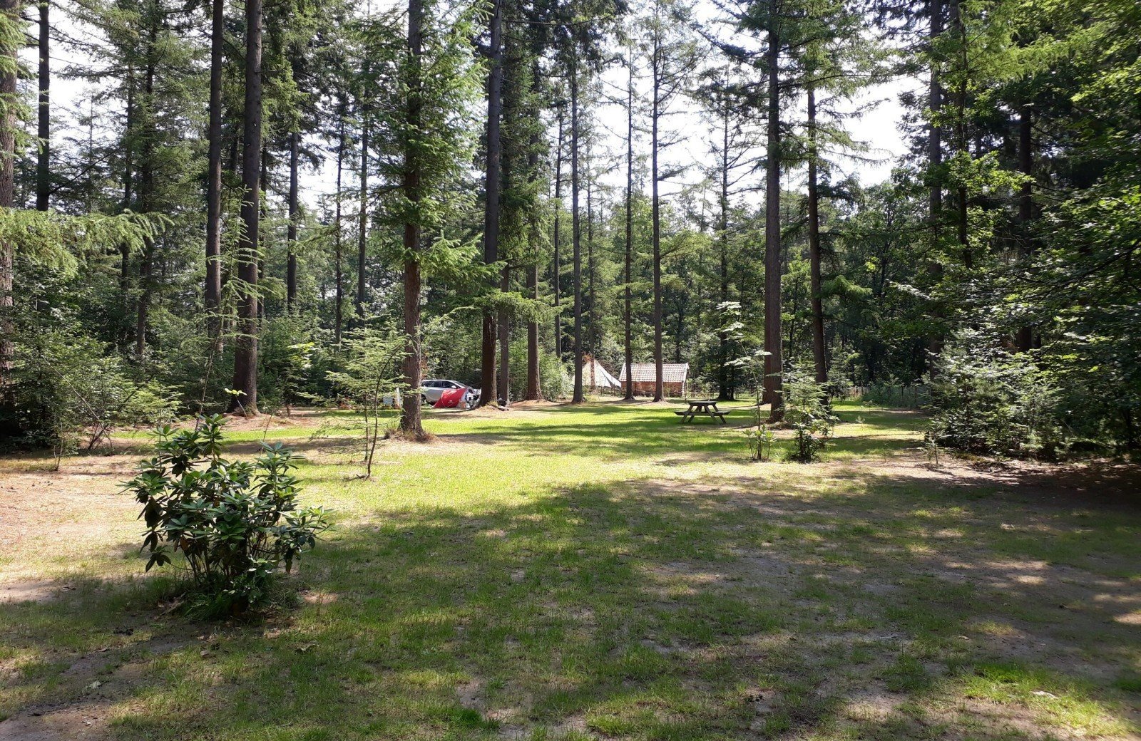Camping het bos