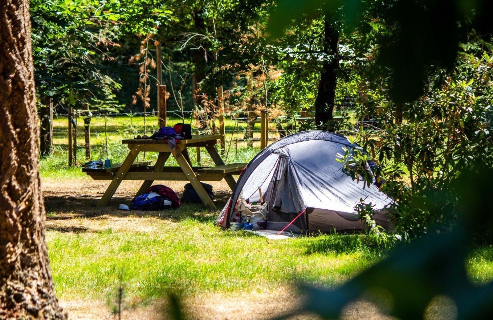 Kamperen met tent op Veluwe