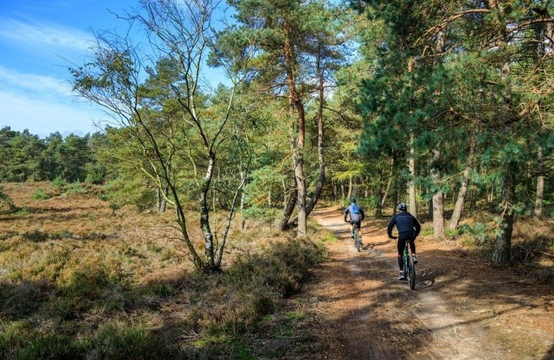 MTB-routes