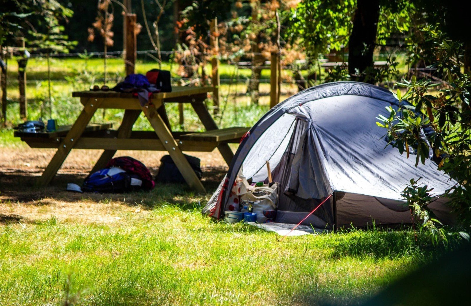 Natuurcamping Gelderland