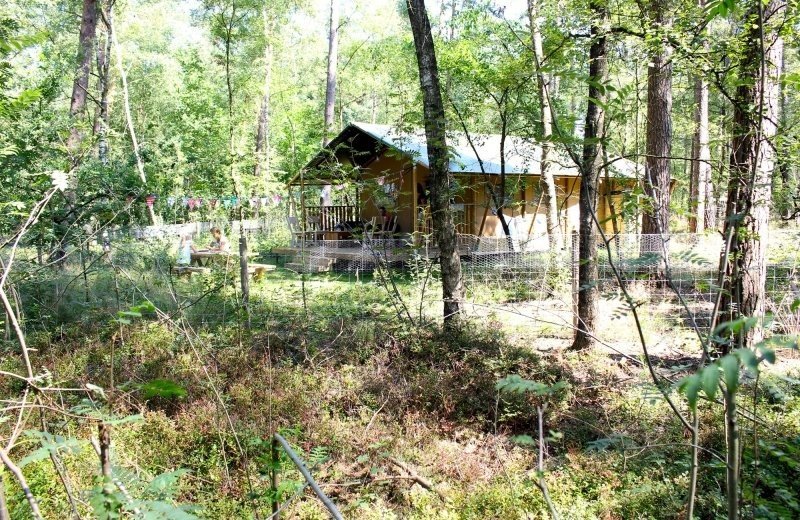 Safaritent 2-4 personen