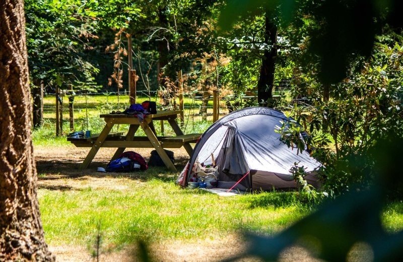 Natuurkampeerterrein