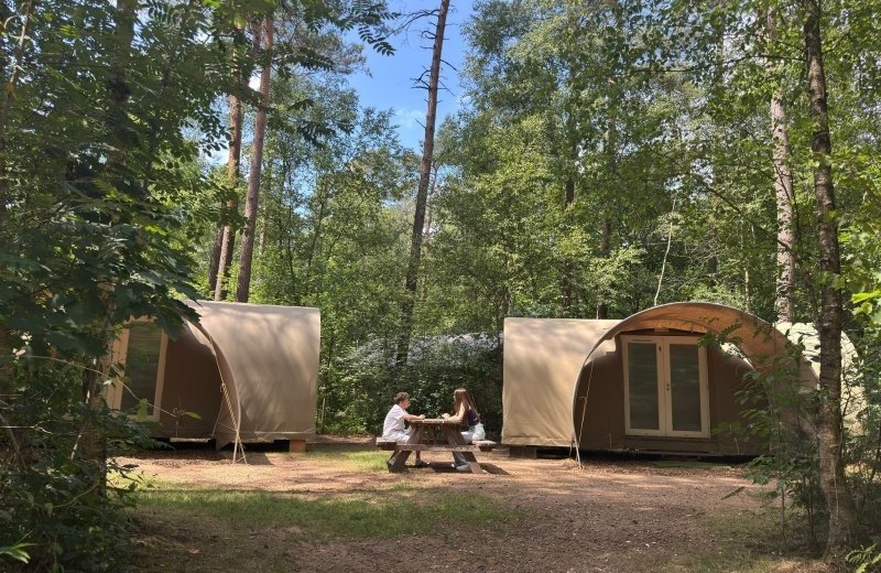 Trekkershut basis Bosplek